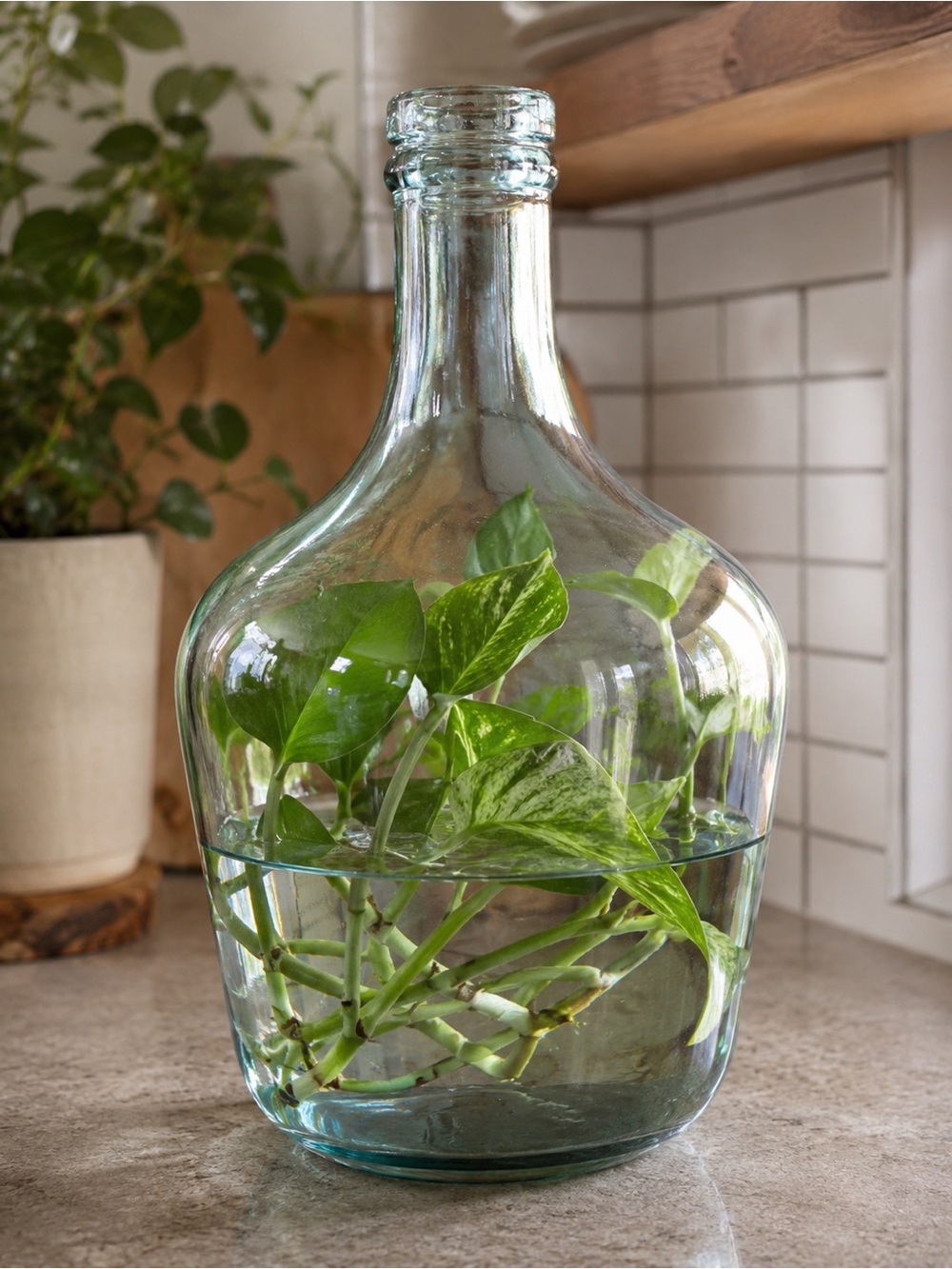 Clear Glass Demijohn Vase